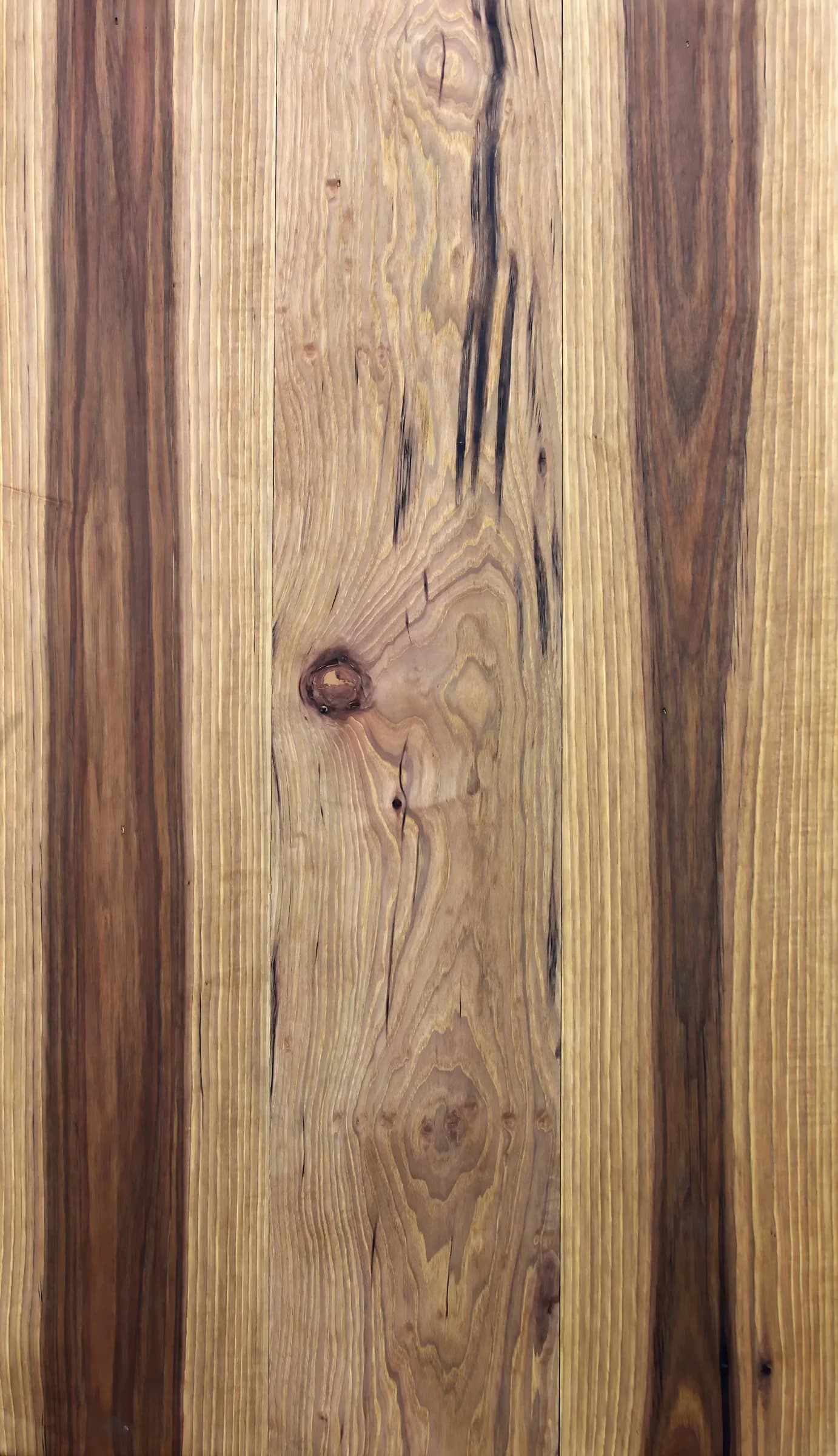 Hickory