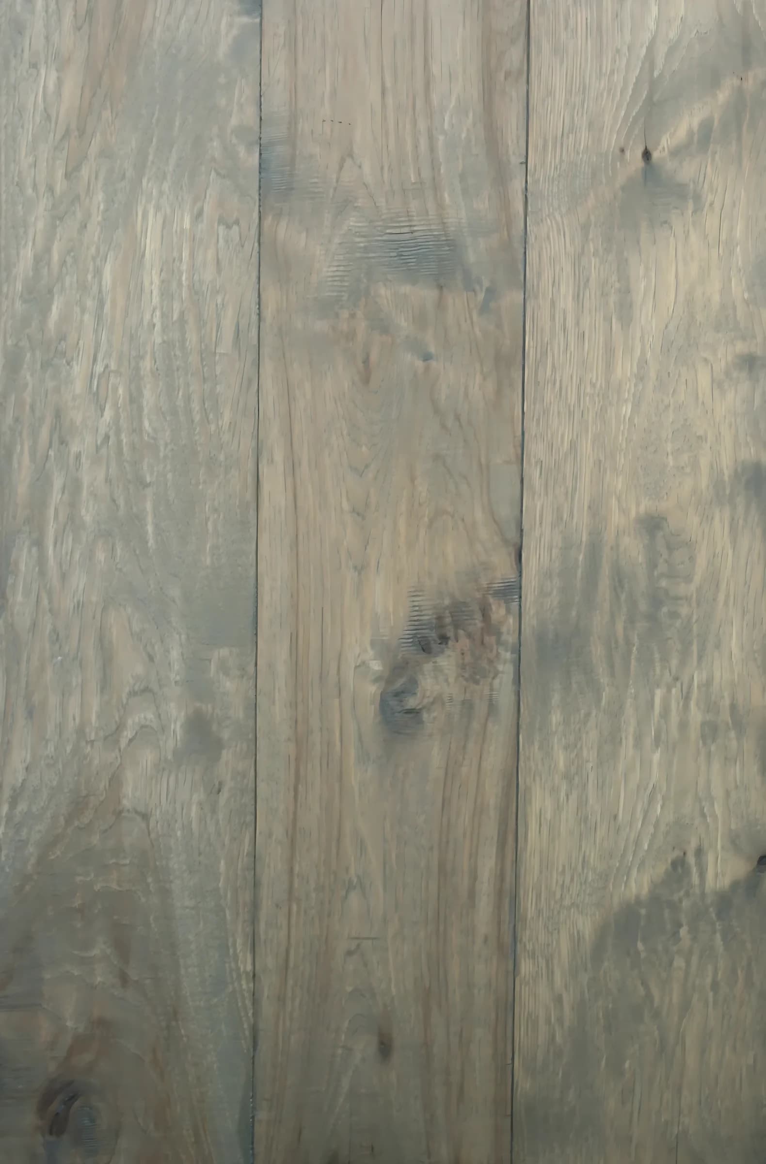 Hickory Scrape Ans