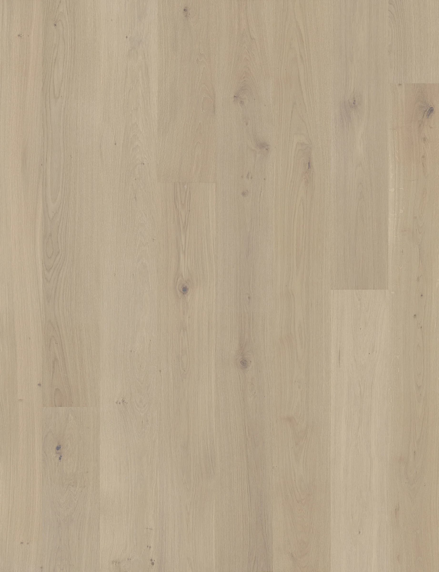Paramount Rustic — detail 2